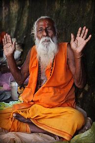 Image result for Hindu Priest