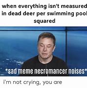 Image result for Dead Deer in Pool Meme