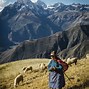 Image result for Peruvian Natives