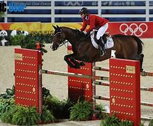 Image result for Olympic Horse Jumping