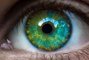 Image result for Amazing Eye Photography