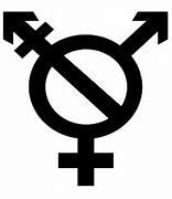 Image result for Transparent Non-Binary Sign