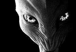 Image result for Funny Alien Wallpaper