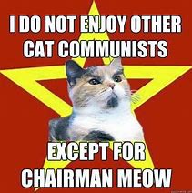 Image result for Communist Cat Meme