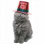 Image result for New Year Cats Quotes