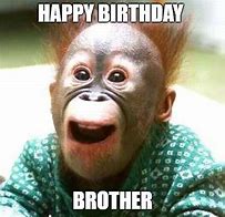 Image result for Happy Birthday Brother Funny Cat