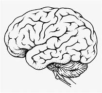 Image result for A Brain Pointing Drawing