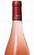 Image result for Sheldrake Point Rose