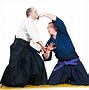 Image result for Karate Photography