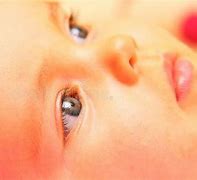 Image result for Babies Faces