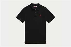 Image result for Polo Shirt Brand Logos