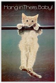 Image result for Hang in There Cat Poster Original