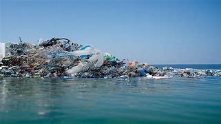 Image result for Dell XPS Package Sea Garbage