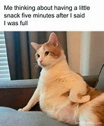 Image result for Unhinged Cat Memes
