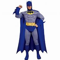 Image result for Batman Costumes for Adults