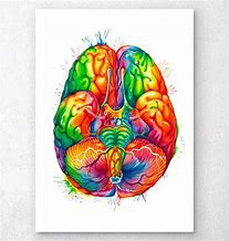 Image result for Watercolor Brain
