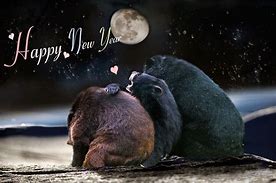 Image result for Cute Animals Happy New Year