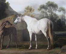 Image result for Impressionistic Horse Painting