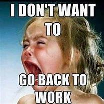 Image result for Funny Back to Work After Vacation Meme