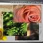 Image result for Golden Ratio in Tree Trunks