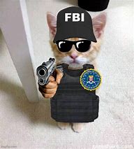 Image result for FBI Cat Meme