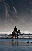 Image result for Horse Riding Wallpaper