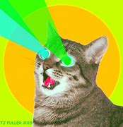 Image result for Laser Cat Pop Art