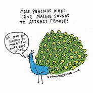 Image result for Peacock with Eyebrow Meme