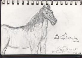 Image result for Horse Bad Doodle
