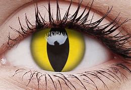 Image result for Cool Contact Lenses Cat Eye