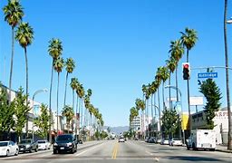 Image result for California Seeing Sites