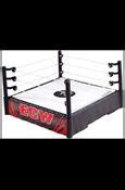 Image result for WWE ECW Ring