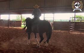Image result for Reining Horse Sliding Stop
