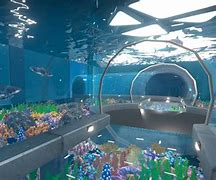 Image result for Aquarist Game Friend Model