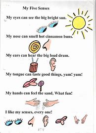Image result for Preschool Poems Five Senses