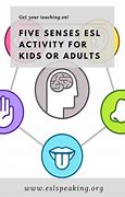 Image result for 5 Senses Sight Activities