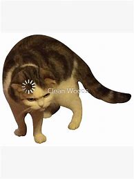 Image result for Cat Head Loading Meme