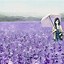 Image result for Flower iPhone Wallpaper Anime