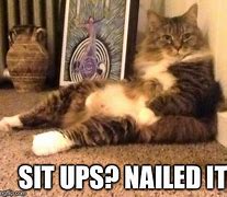 Image result for Sit-Ups Meme