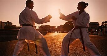 Image result for Different Martial Arts