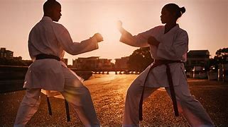 Image result for Martial Arts Workout