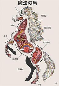 Image result for Unicorn Anatomy