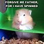 Image result for Bald Hamster Meme