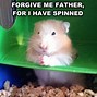 Image result for Blurry Hamster Meme