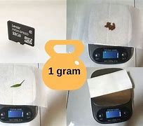 Image result for What Weighs 1 Gram