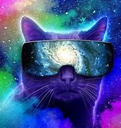 Image result for Cool Spase Cat