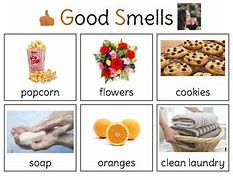 Image result for Things That Smell Good