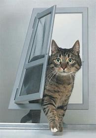 Image result for Cat Doors
