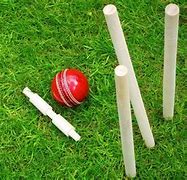 Image result for Field Cricket Order