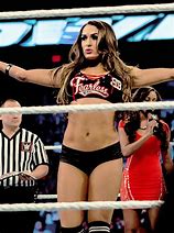 Image result for Nikki Bella Wrestling Outfit